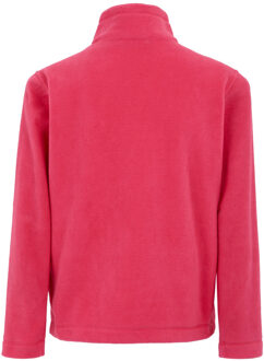 Regatta Groot buitenshuis kinderen/kinderen king ii lichtgewicht full zip fleece jasje Roze