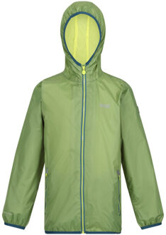 Regatta Groot buitenshuis kinderen/kinderen lever ii packaway rain jacket Groen - 104