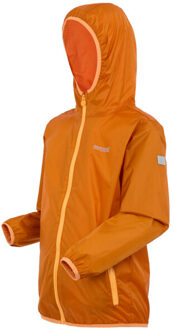 Regatta Groot buitenshuis kinderen/kinderen lever ii packaway rain jacket Oranje - 152