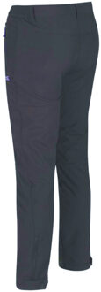 Regatta Grote buitenshuis heren avontuur tech geo ii windbestendige lange been softshell-broek Grijs