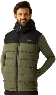 Regatta Heren aldthorn body warmer Groen - S