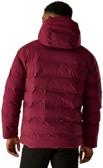 Regatta Heren Altoro Thermal Waterdichte Jas (Donker kastanjebruin) - XL