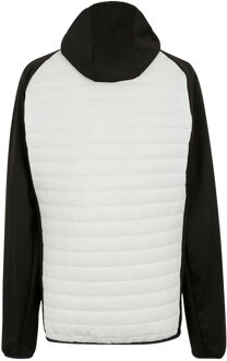 Regatta Heren Andreson Hybride Jas (Beige) - maat