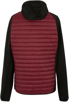 Regatta Heren Andreson Hybride Jas (Donker kastanjebruin/zwart) - XL