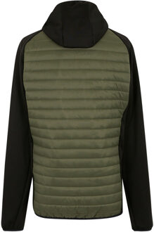 Regatta Heren Andreson Hybride Jas (Olijfnacht / Zwart) - L