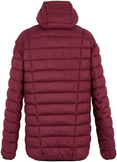 Regatta Heren Asper gewatteerde jas (Donker kastanjebruin) - S