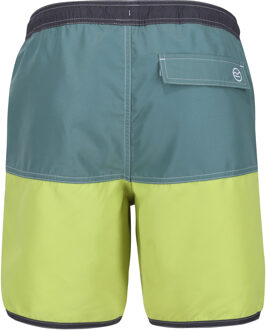 Regatta Heren Benicio Zwemshorts (Zeeden/Groene algen) Donkergroen