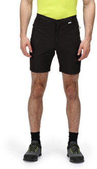 Regatta Heren berg ii korte broek Grijs - 56