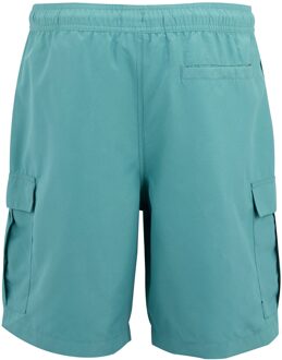 Regatta Heren Blanmont Zwemshorts (Arctic) Blauw - M