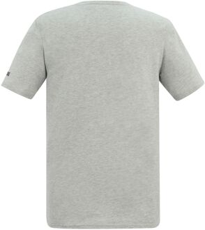 Regatta Heren Cline IX Palmboom T-Shirt (Grijze Mergel) Grijs - L