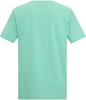 Regatta Heren Cline IX Sea Wave T-Shirt (Ijsgroen) - maat 2XL