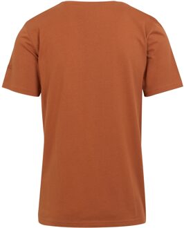 Regatta Heren Cline VIII Rivier T-Shirt (Gebakken klei) Bruin - 3XL