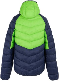 Regatta Heren Dalent Geïsoleerde Jas met capuchon (Groene flits/Navy) - 3XL