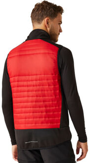 Regatta Heren e-volve hybride thermo gilet - maat XXXL Rood