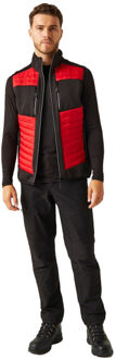 Regatta Heren e-volve hybride thermo gilet Rood - XXL / XXXL