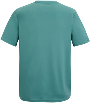 Regatta Heren Fingal Mountain Scene T-Shirt (Arctic) - maat 3XL Blauw