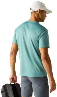 Regatta Heren fingal mountain scene t-shirt Bruin/groen - XXXL