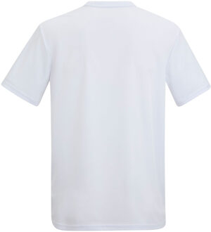 Regatta Heren Fingal Mountain T-Shirt (Wit) - 5XL