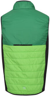 Regatta Heren halton baffled vii colour block gewatteerd gilet Groen - XXL / XXXL