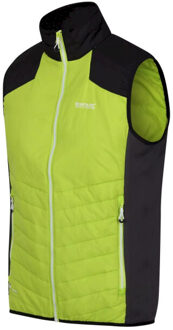 Regatta Heren halton vi lichtgewicht body warmer Groen - XXXL