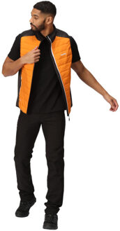 Regatta Heren halton vii gewatteerd gilet - maat S Oranje