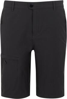 Regatta Heren Highton II Lange Casual Wandelbroek (As) Grijs