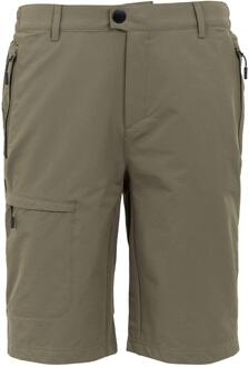 Regatta Heren Highton II Lange Casual Wandelbroek (Treetop) Bruin - 32N