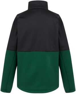 Regatta Heren highton iv full zip fleecejack Smaragd