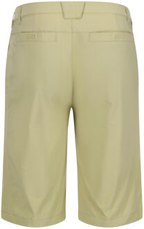 Regatta Heren highton wandelshort Bruin