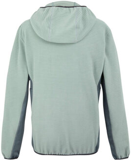 Regatta Heren lakewright full zip fleecejack Groen - XXL / XXXL