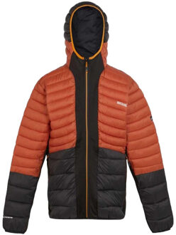 Regatta Heren leedre hybride gewatteerde jas Rood - XXL / XXXL