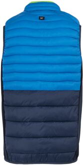 Regatta Heren Leedre Hybride Gilet (Olympisch Blauw/Navy) Navy/blauw