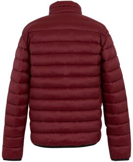 Regatta Heren Marizion gewatteerde jas (Donker kastanjebruin)