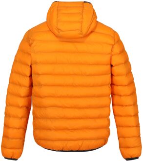 Regatta Heren Marizion gewatteerde jas met capuchon (Oranje peper/gebrand koper)