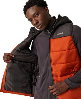 Regatta Heren nevado zwaargewicht mouwloze bodywarmer Grijs - XXL / XXXL