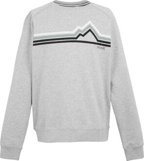 Regatta Heren Nithsdale Linear Mountain Crew Hals Sweatshirt (Grijze Mergel) Grijs