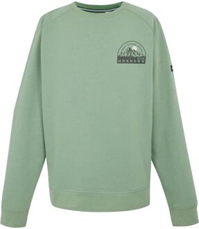 Regatta Heren Nithsdale Mountain Crew Hals Sweatshirt (Gletsjer) Groen - 3XL