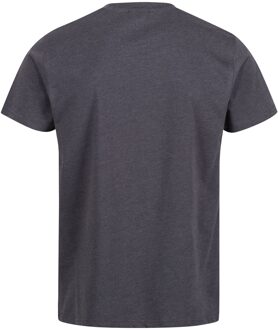 Regatta Heren Pro Cotton Soft Touch T-Shirt (Afdichting Grijs) - XL