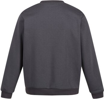 Regatta Heren Pro Crew Neck Sweatshirt (Afdichting Grijs) - maat 3XL