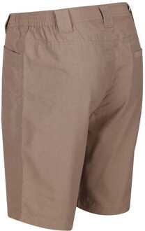 Regatta Heren Regatta Delgado Lichtgewicht Coolweave Korte Broek in Zand