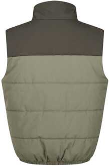 Regatta Heren Regatta Hawfinch Everyday Gewatteerd Gilet in Groen