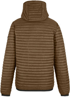 Regatta Heren Rigain gewatteerde jas (Notenbruin/Zwart)