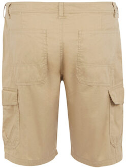 Regatta Heren ruwan vrijetijdsshort Beige - 46