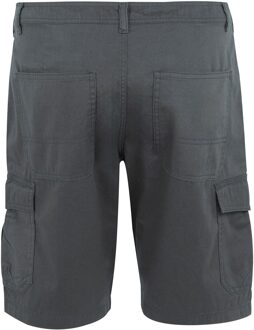 Regatta Heren ruwan vrijetijdsshort Grijs