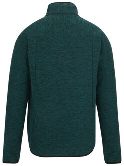 Regatta Heren scaris full zip fleecejack Groen - M