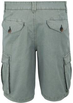 Regatta Heren shorebay ii cargo shorts Grijs - 30
