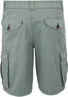 Regatta Heren shorebay ii cargo shorts Grijs - 38 Normaal