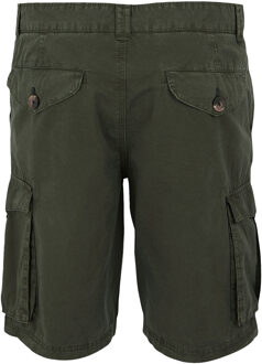 Regatta Heren shorebay ii cargo shorts Kaki