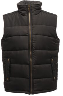 Regatta Heren Standout Altoona Geïsoleerd Bodywarmer Jasje (Zwart)