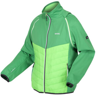Regatta Heren steren hybride zachte shell jas Groen - L